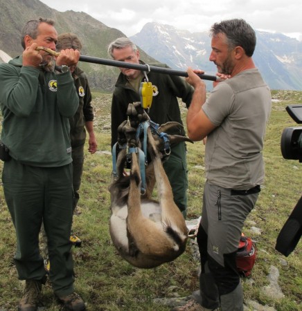 Rete4 Life Uomo e natura - shooting nel Gran Paradiso (15).jpg