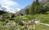 Paradisia - Foto Archivio Fondation Grand Paradis