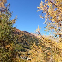 Foliage 2017: una giornata autunnale