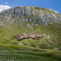 TERZO PREMIO Pattern montano - Michele Massetani