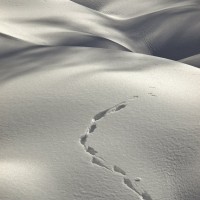 Terzo premio - Dopo una nevicata - Foto di Roberto Cilenti - Archivio FGP