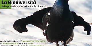 Invito - Mostra biodiversità