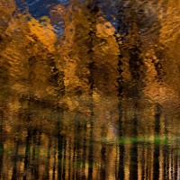 Dans les yeux dans les eaux - Foto di Bruno Maria Miotti