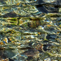 Dans les yeux dans les eaux - Foto di Luigi Sasdelli