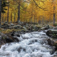 Foto di Enrico Romanzi