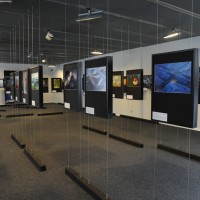 Natura Arte - Archivio FGP