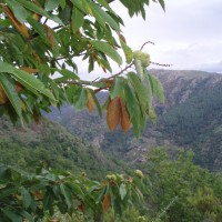 Ourense Alto Tamega - Archivio FGP